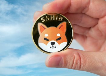 Shiba Inu