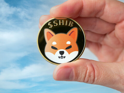 Shiba Inu