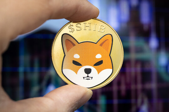 Shiba Inu Flashes Rare Bullish Reversal — Is A 570% Move To $0.000081 Possible?