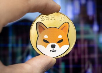 Shiba Inu