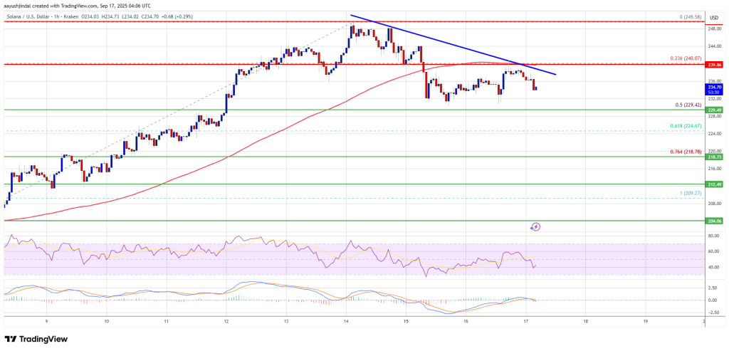 Solana (SOL) Holds Recent Gains – Key Levels Before Another Surge