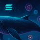 今、Whaleが買い集める注目のアルトコイン3選