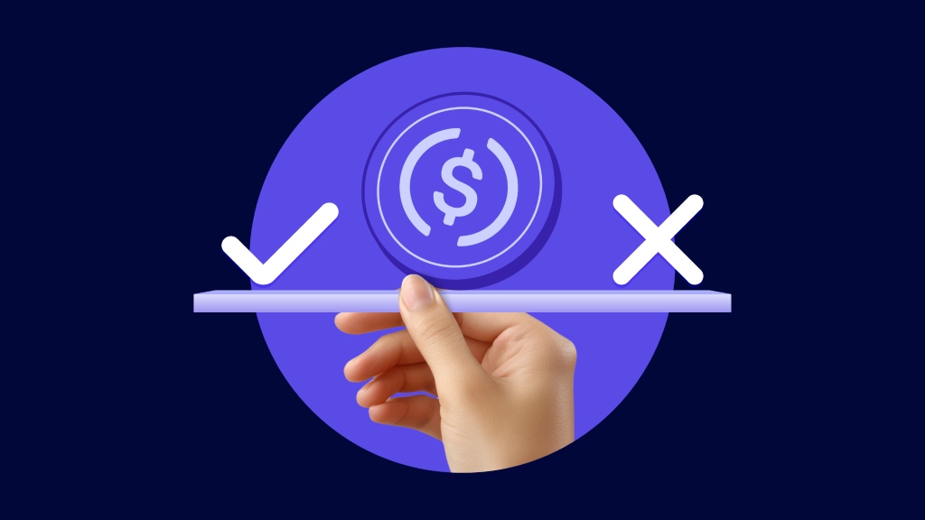 USD Coin (USDC) rizika a výnosy