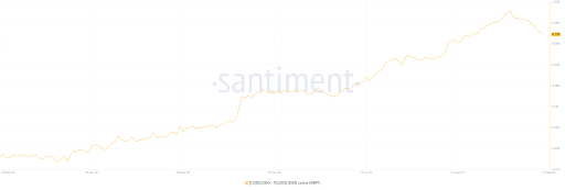 $480 Million In 2 Weeks? XRP Whale Movements Could Reveal The Next Price Direction
