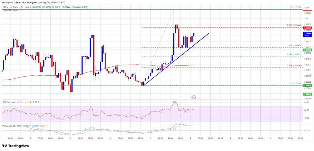 XRP Price