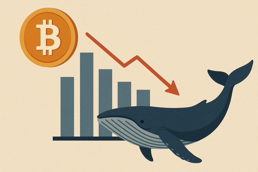 Zasoby BTC wielorybów spadły