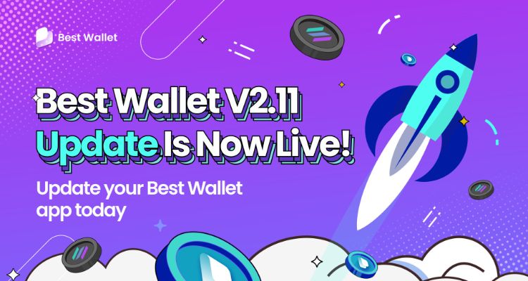 Platus kriptovaliutų piniginių pasirinkimas: kaip išsirinkti?