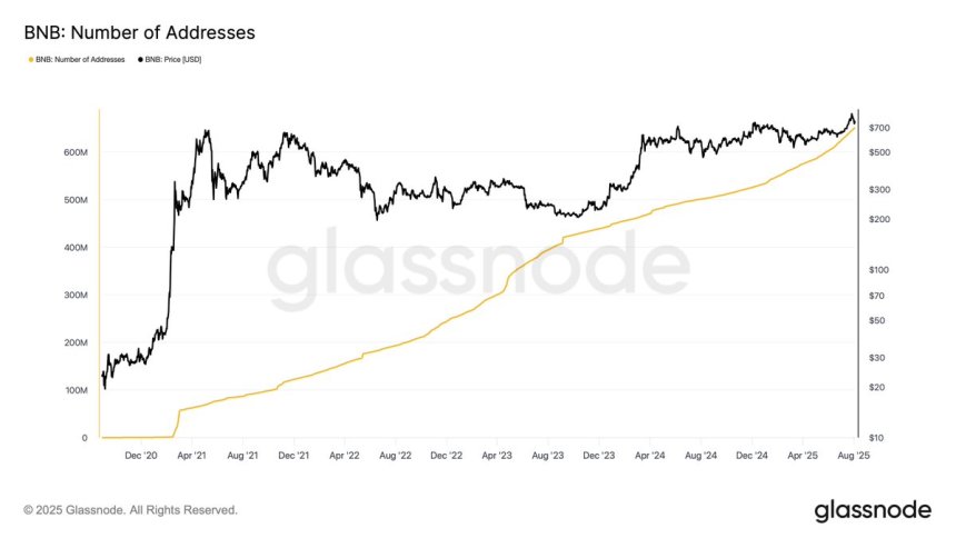 BNB Chain Surpasses 650M Distinctive Addresses – Binance Adoption Continues