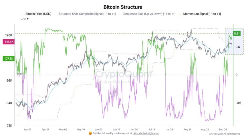 Indicador de estructura de Bitcoin | Fuente: Axel Adler