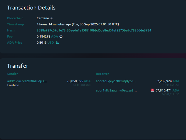 Cardano Whasistansactie