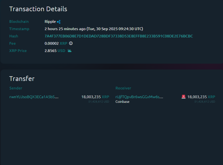 XRP whale inflow