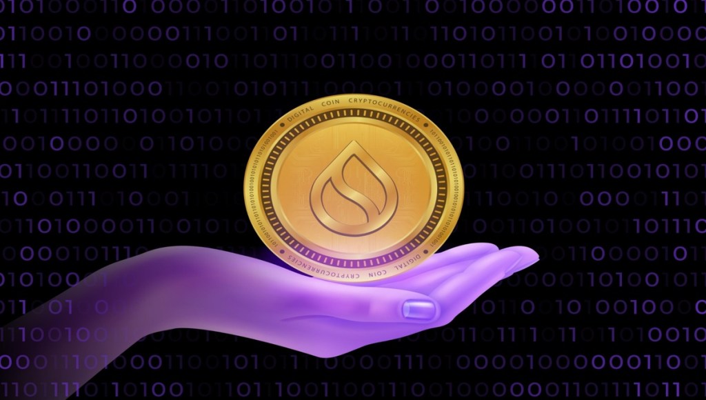 Kā nodrošināties ar drošību, kad vēlies nopirkt SUI