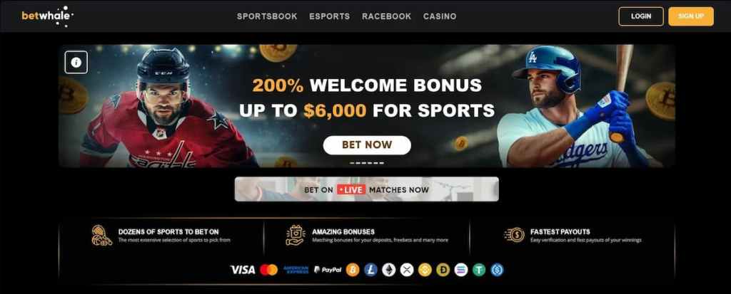 BetWhale – Excellent Platform with WNBA & Sports Betting