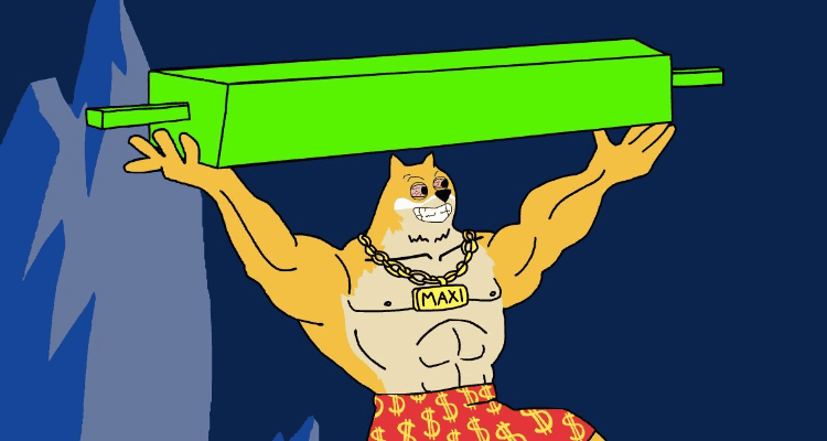 Kaip 1000x svertas gali nuskraidinti Maxi Doge į mėnulį