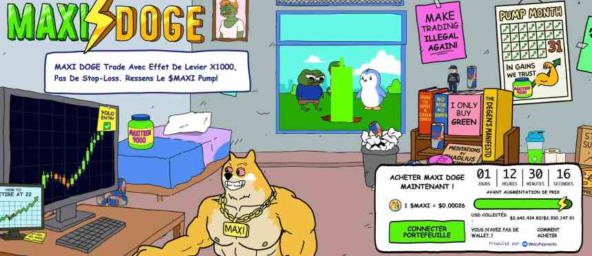 maxi-doge