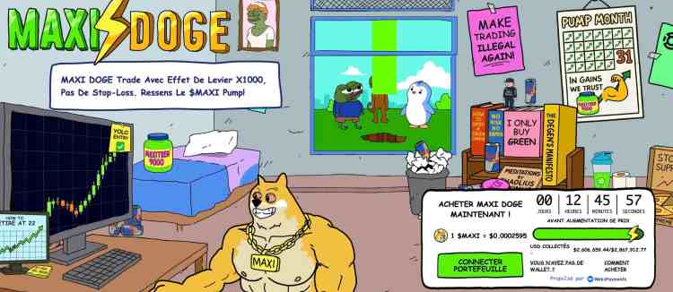 maxi-doge