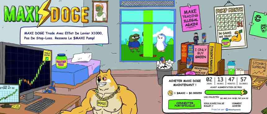 maxi-doge
