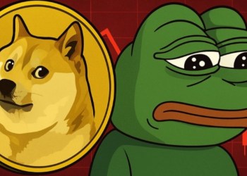 pepe vs doge
