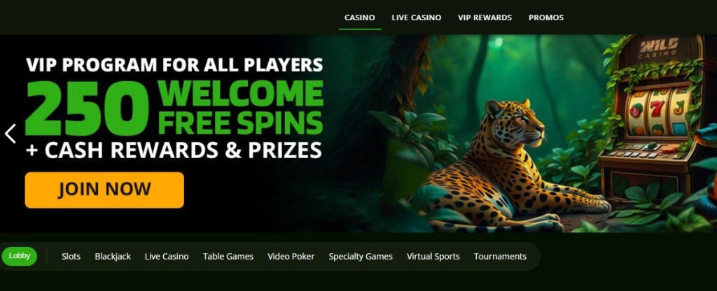 2. Wild Casino