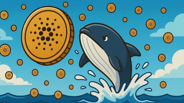 Cardano whales verkopen $100M ADA tijdens crypto crash - perfecte instap moment?