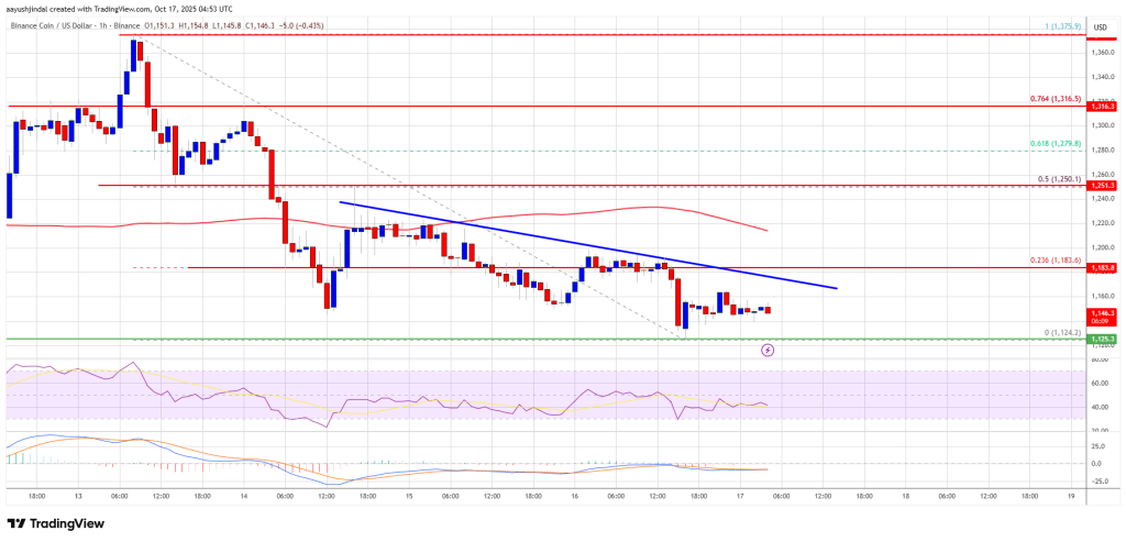 BNB Price Retreats After Rally — More Downside Risks On The Horizon