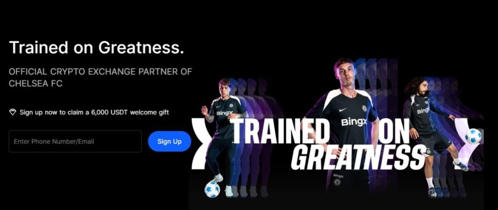BingX – najboljša izbira za začetnike
