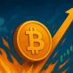 ビットコイン7日連続上昇、10万ドル目前で注目のアルトコイン4選