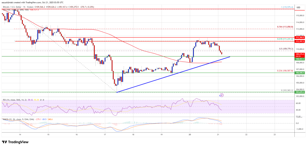 Bitcoin Price Stabilizes After Drop — Early Signs Of Recovery Emerge