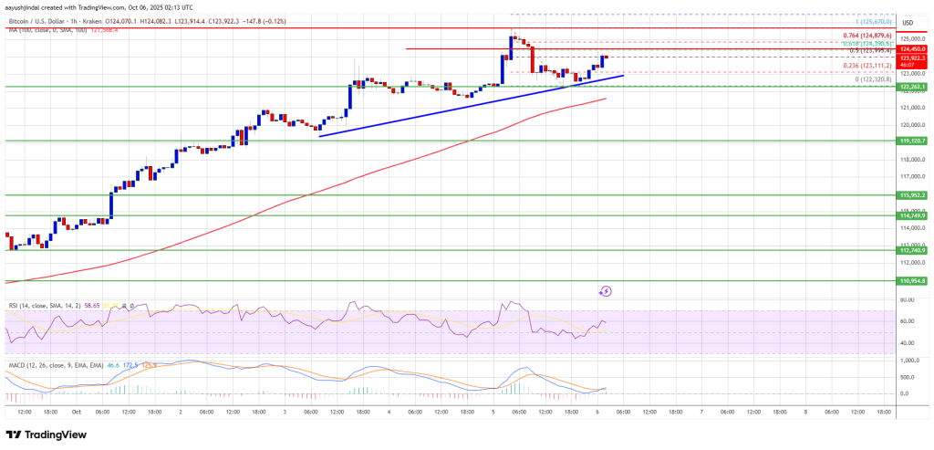 Bitcoin Steadies After Rally – Is Another Powerful Breakout Just Ahead?