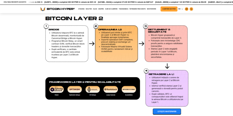 roadmap