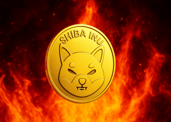 Shiba Inu news