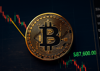 Bitcoin price crash news