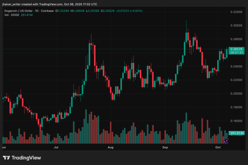 Dogecoin doge dogeusd