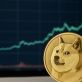 ドージコイン 今後の価格予測：次のサイクルで0.30ドルに到達する可能性はあるか
