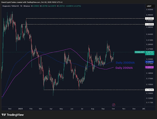 Dogecoin Price