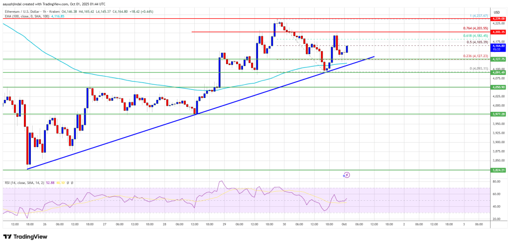 Ethereum Price 