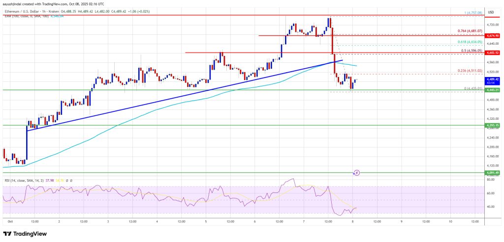 Ethereum Price 