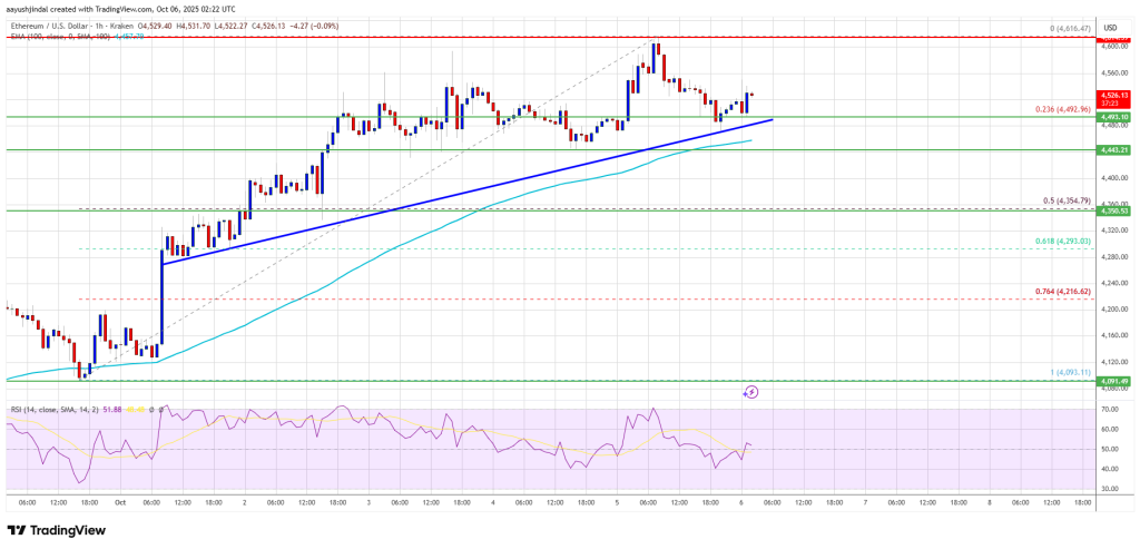 Ethereum Price Faces Pause – Will Bulls Use This Dip To Fuel Next Rally?