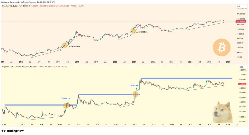 Is The Dogecoin Bull Run Over? Analyst Sees Echoes Of 2021