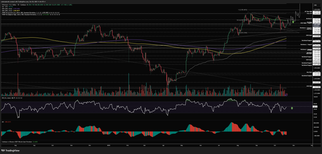 Ethereum terms analysis