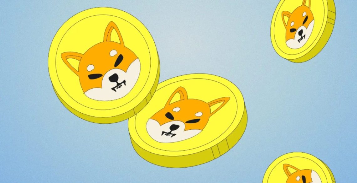 Jak kupić Shiba Inu