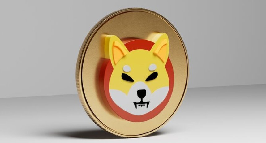 Shiba Inu