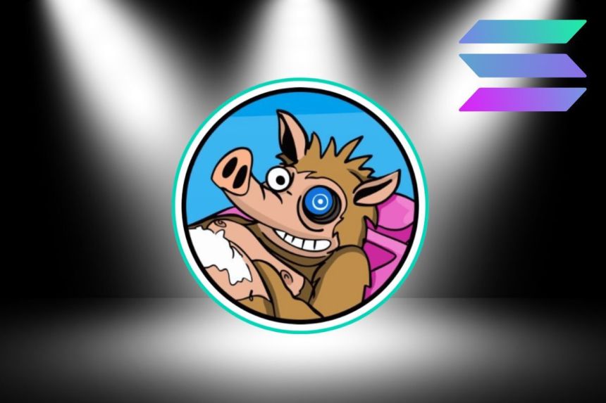 Snorter solana προπώληση