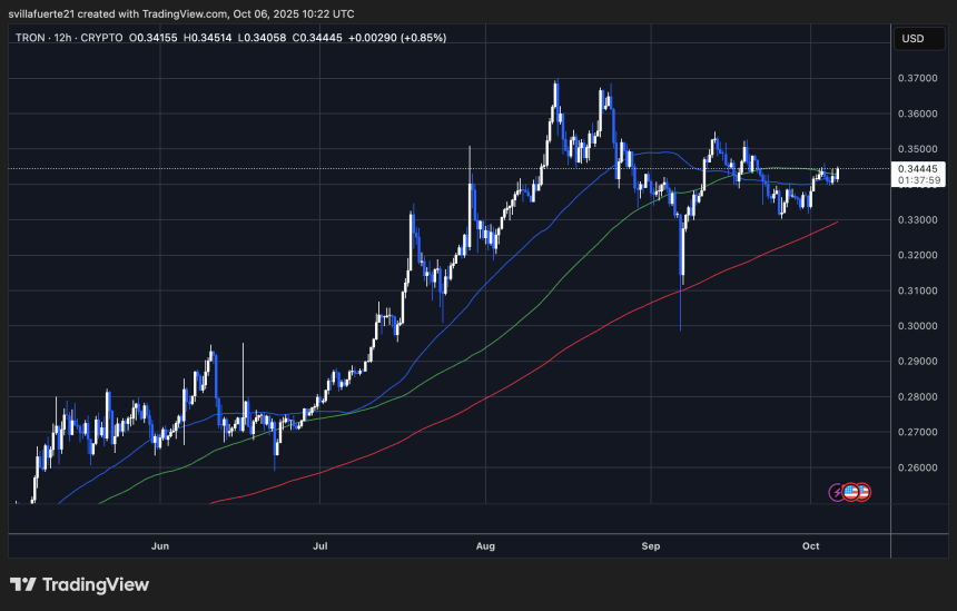 TRX includes the top of the bullish | Source: TrxusDT chart on trade view