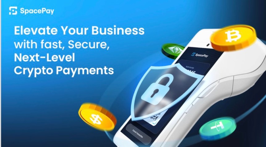 Tired of Crypto Volatility? How SpacePay Gives Merchants Instant Stable Payments