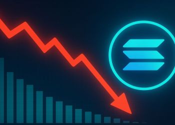 Solana Network Activity Drops 50%: Is The Rally Built On Weak Fundamentals?