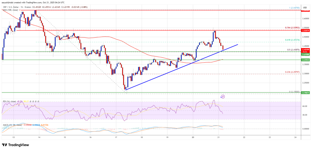 XRP Price Rebounds Cautiously — Can Momentum Build From Here?