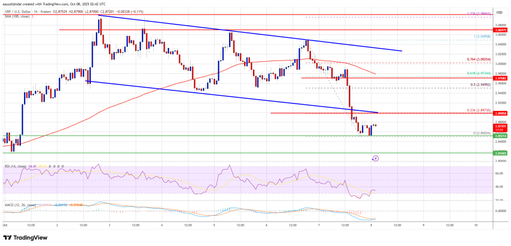 XRP Price