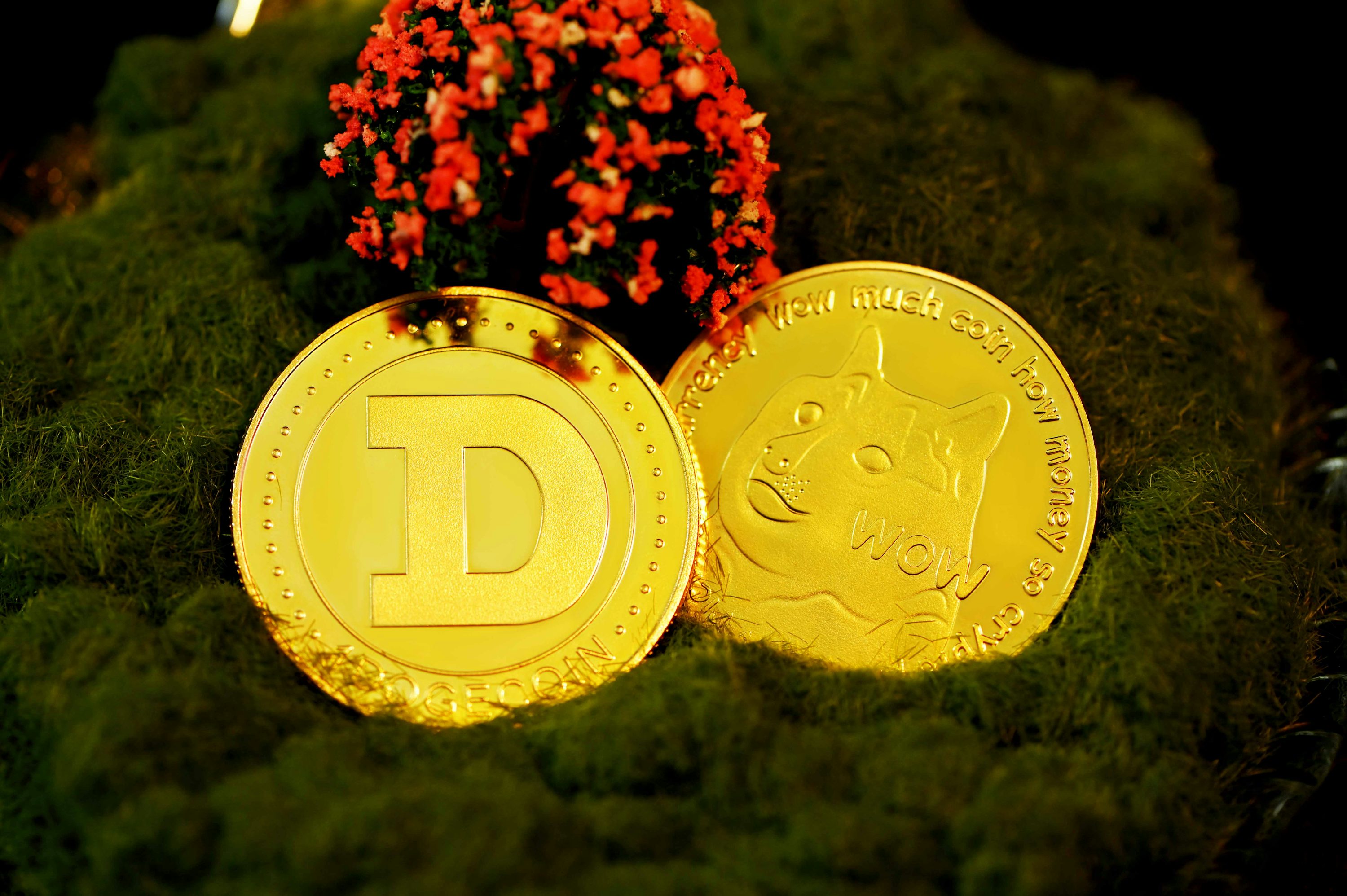 Dogecoin Whales Quietly Accumulate Over 320 Million Coins — What’s Coming Next?
