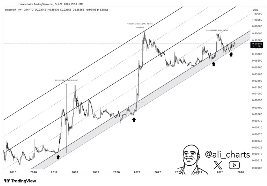 Dogecoin Eyes Massive Breakout: Next Move Depends On $0.30